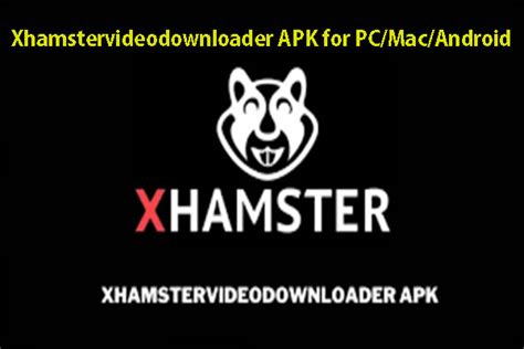 xhmaster video downloader|xHamster Downloader: Free Download xHamster Video Online